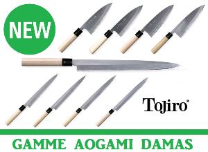 Couteaux de cuisine Tojiro gamme aogami damas